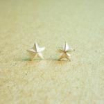 Sale - Small Star Ear Stud..